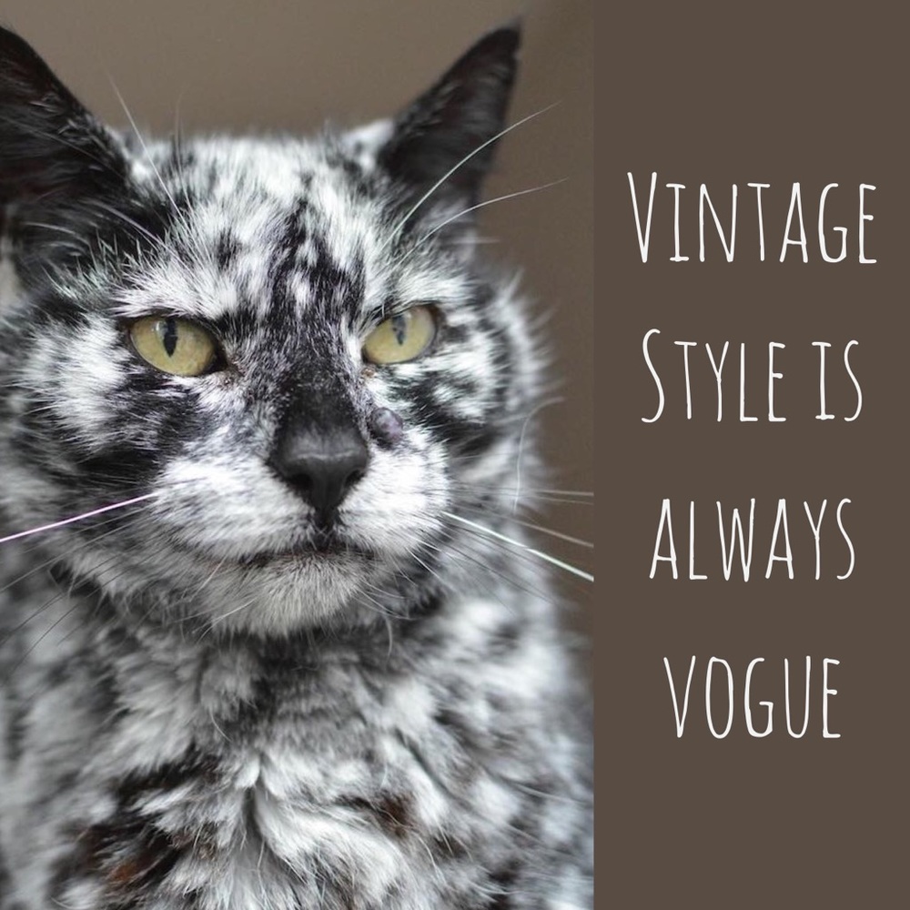 Vintage Clothes Need Homes Too!